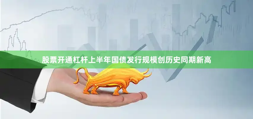 股票开通杠杆上半年国债发行规模创历史同期新高